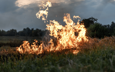 Risque d’incendie : restrictions temporaires en Haute-Vienne jusqu’au 15 juillet 2026